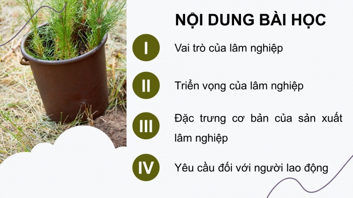 Giáo án điện tử Công nghệ 12 Lâm nghiệp - Thủy sản Kết nối Bài 1: Vai trò và triển vọng của lâm nghiệp