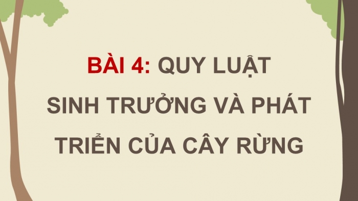 Giáo án điện tử Công nghệ 12 Lâm nghiệp - Thủy sản Kết nối Bài 4: Quy luật sinh trưởng và phát triển của cây rừng