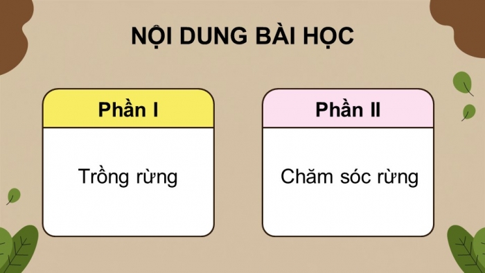 Giáo án điện tử Công nghệ 12 Lâm nghiệp - Thủy sản Kết nối Bài 5: Kĩ thuật trồng và chăm sóc rừng