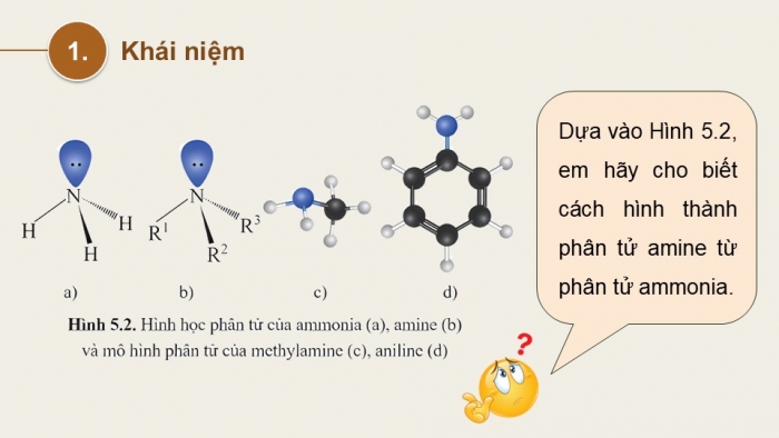 Giáo án điện tử Hóa học 12 cánh diều Bài 5: Amine