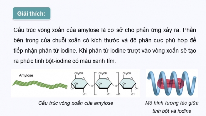 Giáo án điện tử Hóa học 12 cánh diều Bài 4: Tính chất hóa học của carbohydrate (P2)