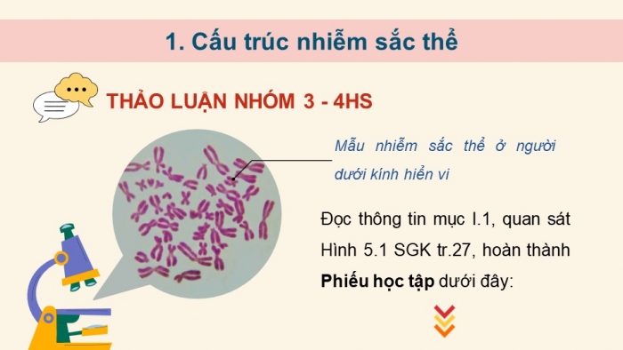 Giáo án điện tử Sinh học 12 cánh diều Bài 5: Nhiễm sắc thể và cơ chế di truyền nhiễm sắc thể