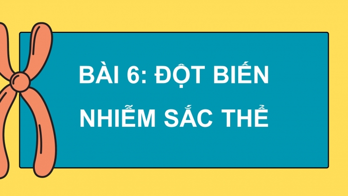 Giáo án điện tử Sinh học 12 cánh diều Bài 6: Đột biến nhiễm sắc thể