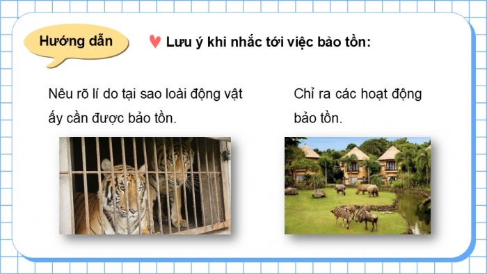 Giáo án điện tử Tiếng Việt 5 kết nối Bài 12: Bảo tồn động vật hoang dã