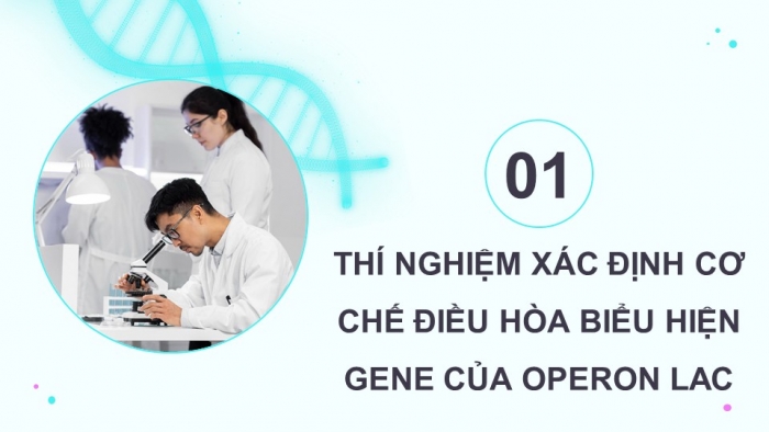 Giáo án điện tử Sinh học 12 chân trời Bài 3: Điều hoà biểu hiện gene