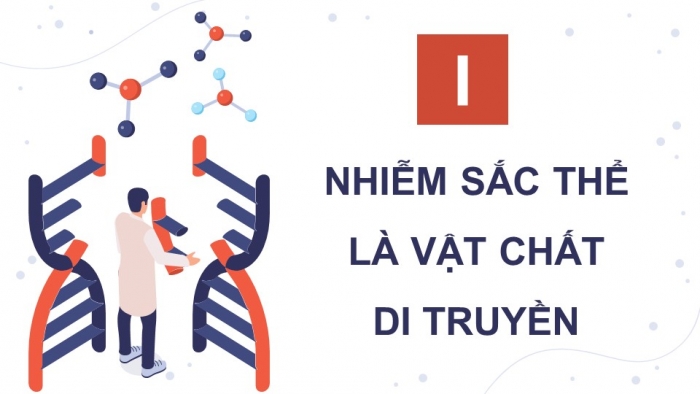 Giáo án điện tử Sinh học 12 chân trời Bài 5: Nhiễm sắc thể và đột biến nhiễm sắc thể