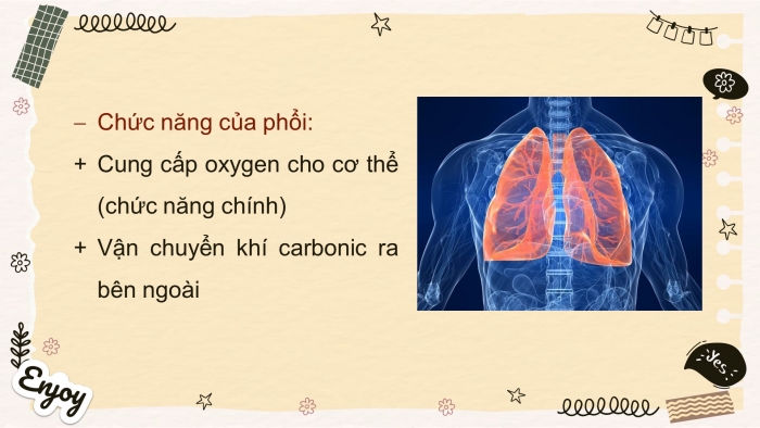 Giáo án điện tử toán 7 cánh diều bài: Hoạt động trải nghiệm dung tích phối