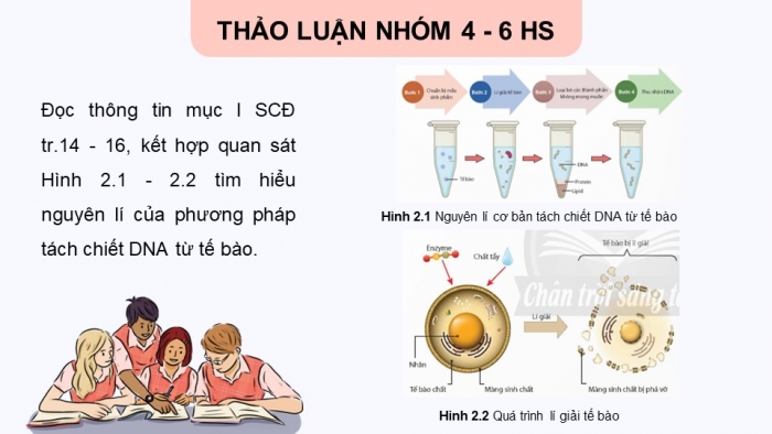 Giáo án điện tử chuyên đề Sinh học 12 chân trời Bài 2: Tách chiết DNA từ tế bào