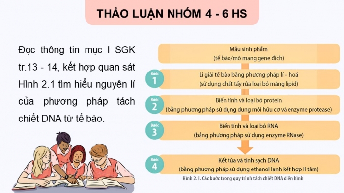 Giáo án điện tử chuyên đề sinh học 12 kết nối bài 2: Phương pháp tách chiết DNA