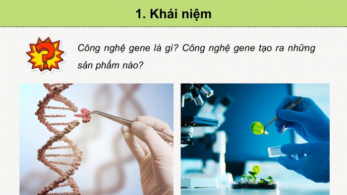 Giáo án điện tử chuyên đề sinh học 12 kết nối bài 3: Công nghệ gene