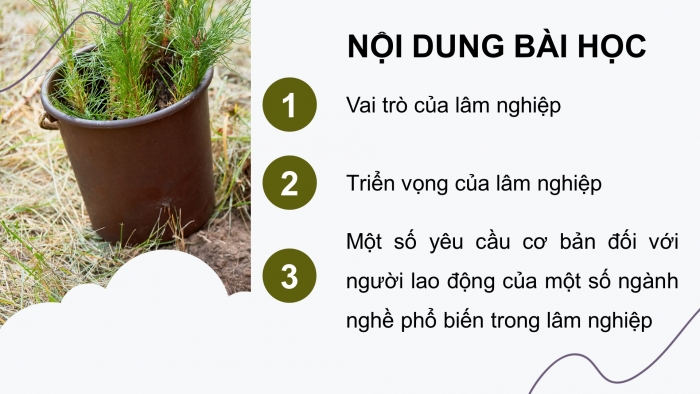 Giáo án điện tử Công nghệ 12 Lâm nghiệp Thủy sản Cánh diều Bài 1: Vai trò và triển vọng của lâm nghiệp