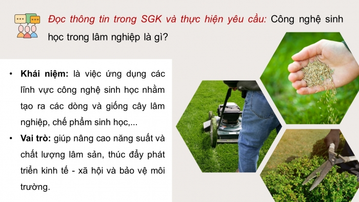 Giáo án điện tử chuyên đề Công nghệ 12 Lâm nghiệp Thuỷ sản Cánh diều Bài 1: Vai trò của công nghệ sinh học trong lâm nghiệp