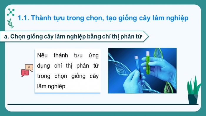 Giáo án điện tử chuyên đề Công nghệ 12 Lâm nghiệp Thuỷ sản Cánh diều Bài 2: Thành tựu và triển vọng của công nghệ sinh học trong lâm nghiệp