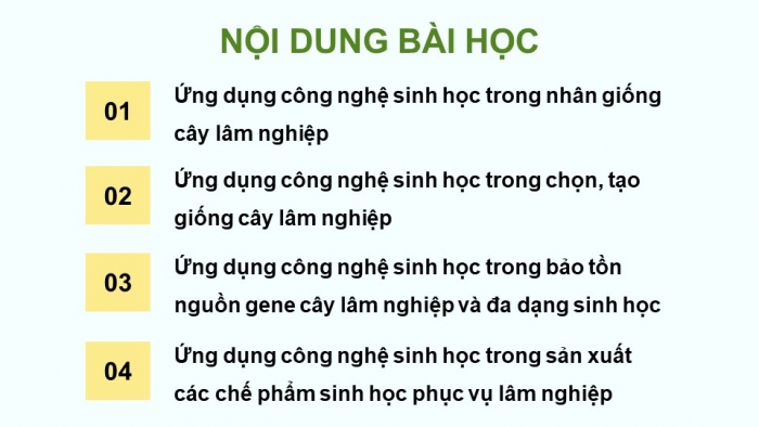 Giáo án điện tử chuyên đề Công nghệ 12 Lâm nghiệp Thuỷ sản Cánh diều Bài 3: Ứng dụng của công nghệ sinh học trong lâm nghiệp