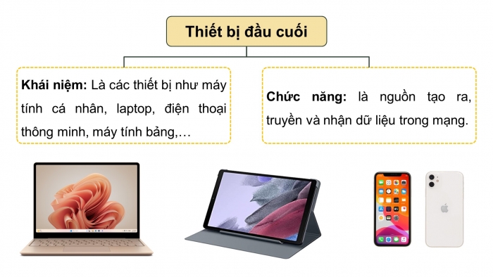 Giáo án điện tử Khoa học máy tính 12 chân trời Bài B4: Vai trò của các thiết bị mạng