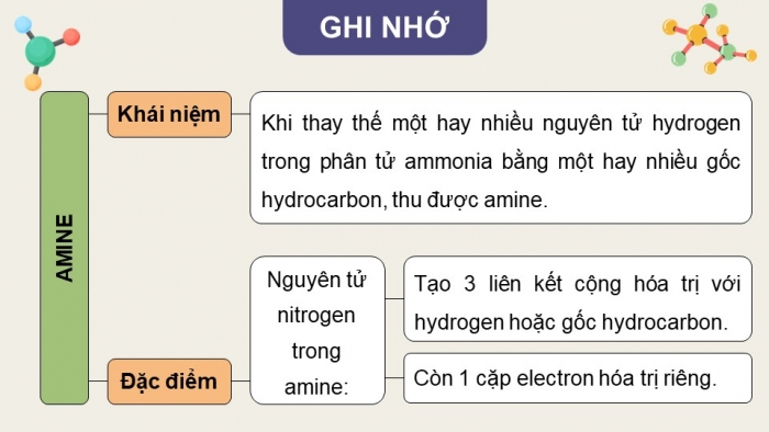 Giáo án điện tử Hóa học 12 cánh diều Bài 5: Amine