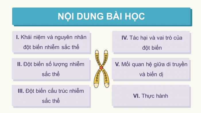 Giáo án điện tử Sinh học 12 cánh diều Bài 6: Đột biến nhiễm sắc thể