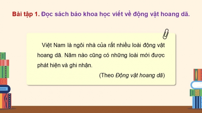 Giáo án điện tử Tiếng Việt 5 kết nối Bài 10: Đọc mở rộng (Tập 1)