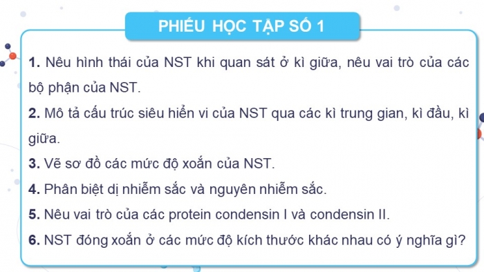 Giáo án điện tử Sinh học 12 kết nối Bài 7: Cấu trúc và chức năng của nhiễm sắc thể