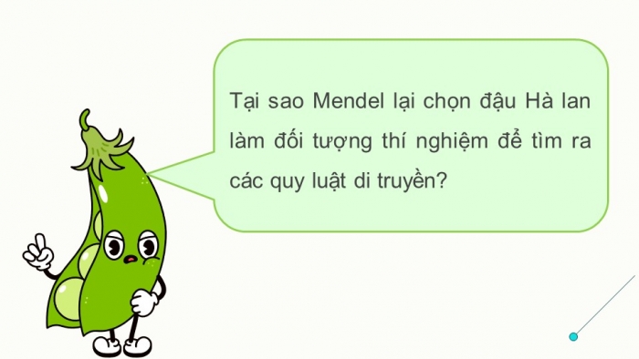 Giáo án điện tử Sinh học 12 kết nối Bài 8: Học thuyết di truyền của Mendel