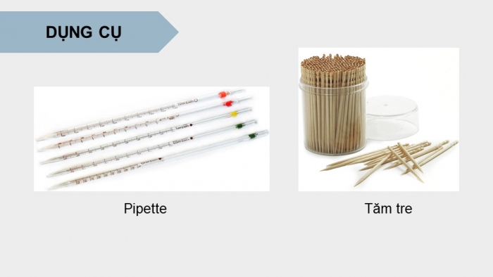 Giáo án điện tử Sinh học 12 chân trời Bài 2: Thực hành Tách chiết DNA