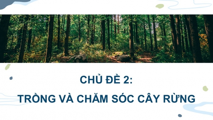 Giáo án điện tử Công nghệ 12 Lâm nghiệp Thủy sản Cánh diều Bài 4: Sinh trưởng và phát triển của cây rừng