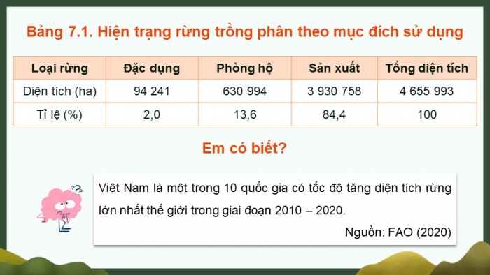 Giáo án điện tử Công nghệ 12 Lâm nghiệp Thủy sản Cánh diều Bài 7: Thực trạng trồng, chăm sóc, bảo vệ và khai thác rừng