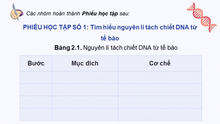 Giáo án điện tử chuyên đề Sinh học 12 chân trời Bài 2: Tách chiết DNA từ tế bào