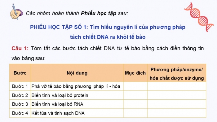 Giáo án điện tử chuyên đề sinh học 12 kết nối bài 2: Phương pháp tách chiết DNA