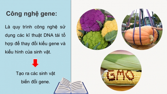 Giáo án điện tử chuyên đề sinh học 12 kết nối bài 3: Công nghệ gene