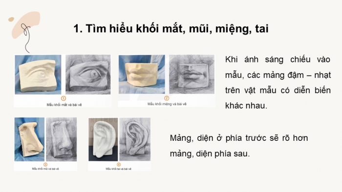 Giáo án điện tử chuyên đề Mĩ thuật 12 kết nối Bài 1: Vẽ khối mắt, mũi, miệng, tai