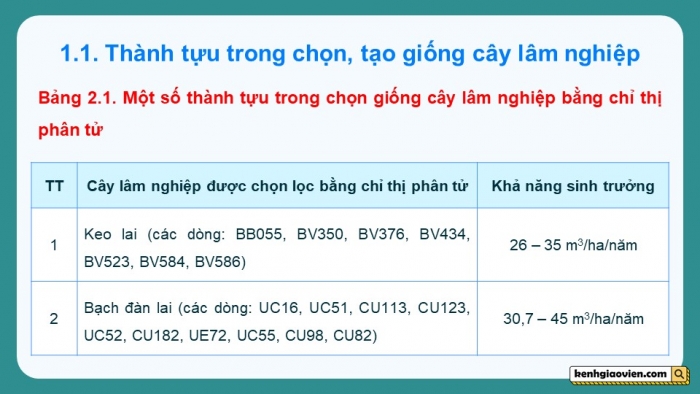 Giáo án điện tử chuyên đề Công nghệ 12 Lâm nghiệp Thuỷ sản Cánh diều Bài 2: Thành tựu và triển vọng của công nghệ sinh học trong lâm nghiệp