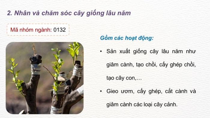 Giáo án điện tử Công nghệ 9 Trồng cây ăn quả Kết nối Bài 1: Giới thiệu chung về cây ăn quả (P2)