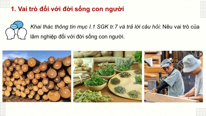 Giáo án điện tử Công nghệ 12 Lâm nghiệp - Thủy sản Kết nối Bài 1: Vai trò và triển vọng của lâm nghiệp