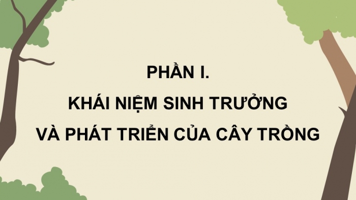 Giáo án điện tử Công nghệ 12 Lâm nghiệp - Thủy sản Kết nối Bài 4: Quy luật sinh trưởng và phát triển của cây rừng