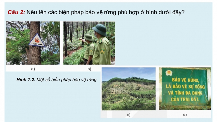 Giáo án điện tử Công nghệ 12 Lâm nghiệp - Thủy sản Kết nối Bài 7: Biện pháp bảo vệ và khai thác tài nguyên rừng