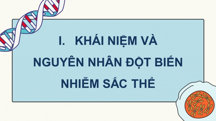 Giáo án điện tử Sinh học 12 cánh diều Bài 6: Đột biến nhiễm sắc thể