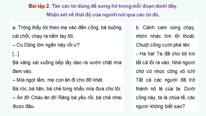 Giáo án điện tử Tiếng Việt 5 kết nối Bài 5: Luyện tập về đại từ