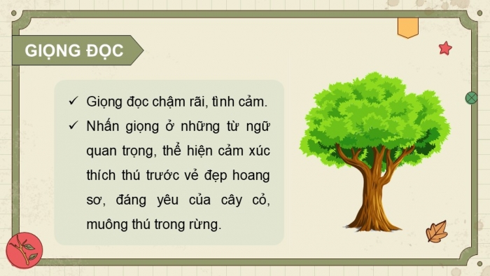 Giáo án điện tử Tiếng Việt 5 kết nối Bài 10: Kì diệu rừng xanh