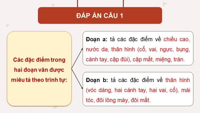 Giáo án điện tử Tiếng Việt 5 cánh diều Bài 4: Luyện tập tả người (Tả ngoại hình)