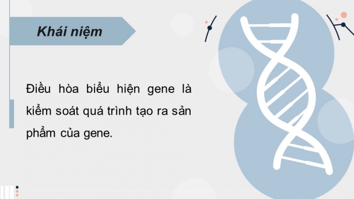 Giáo án điện tử Sinh học 12 chân trời Bài 3: Điều hoà biểu hiện gene