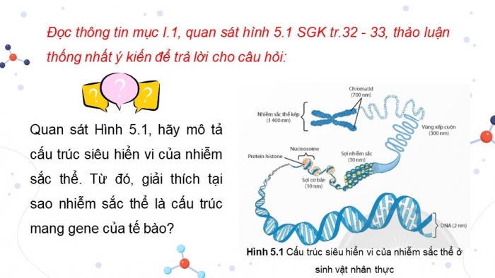 Giáo án điện tử Sinh học 12 chân trời Bài 5: Nhiễm sắc thể và đột biến nhiễm sắc thể