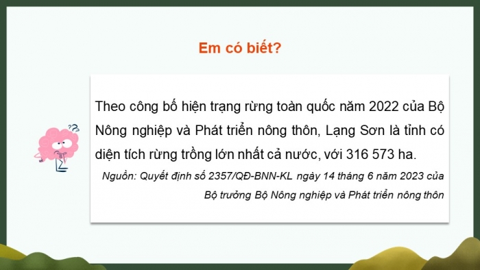 Giáo án điện tử Công nghệ 12 Lâm nghiệp Thủy sản Cánh diều Bài 7: Thực trạng trồng, chăm sóc, bảo vệ và khai thác rừng