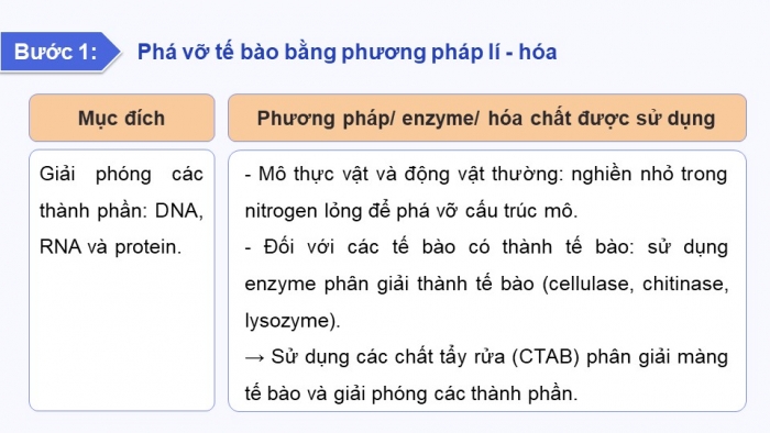 Giáo án điện tử chuyên đề sinh học 12 kết nối bài 2: Phương pháp tách chiết DNA