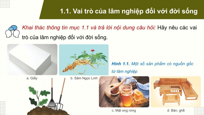 Giáo án điện tử Công nghệ 12 Lâm nghiệp Thủy sản Cánh diều Bài 1: Vai trò và triển vọng của lâm nghiệp