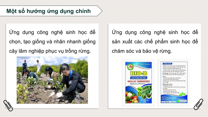 Giáo án điện tử chuyên đề Công nghệ 12 Lâm nghiệp Thuỷ sản Cánh diều Bài 1: Vai trò của công nghệ sinh học trong lâm nghiệp