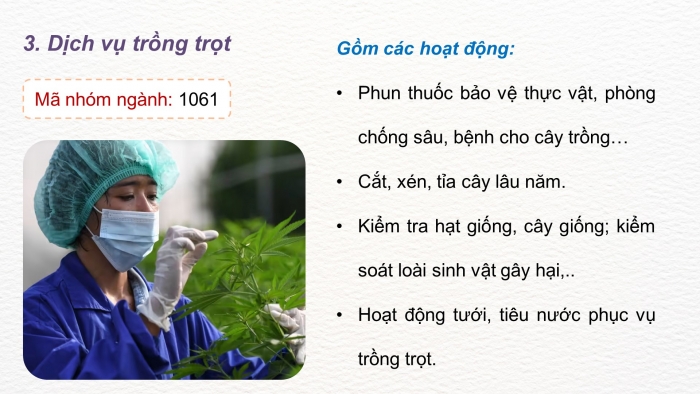 Giáo án điện tử Công nghệ 9 Trồng cây ăn quả Kết nối Bài 1: Giới thiệu chung về cây ăn quả (P2)