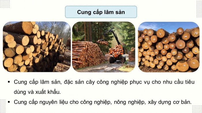 Giáo án điện tử Công nghệ 12 Lâm nghiệp - Thủy sản Kết nối Bài 1: Vai trò và triển vọng của lâm nghiệp