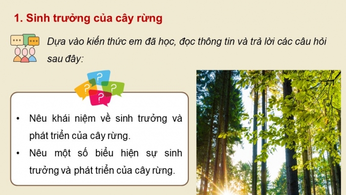 Giáo án điện tử Công nghệ 12 Lâm nghiệp - Thủy sản Kết nối Bài 4: Quy luật sinh trưởng và phát triển của cây rừng