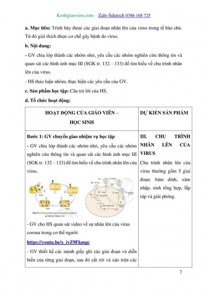 Giáo án và PPT Sinh học 10 cánh diều Bài 21: Khái niệm, cấu tạo và chu trình nhân lên của virus